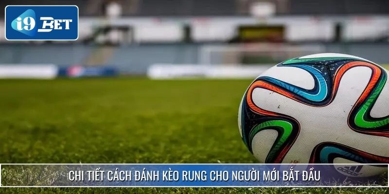 Cách Đánh Kèo Rung I9bet - Bí Kíp Tăng Tỷ Lệ Thắng Hiệu Quả 4 Chi tiết cách đánh kèo rung cho người mới bắt đầu