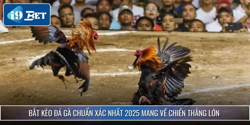 Bắt Kèo Đá Gà Chuẩn Xác Nhất 2025 Mang Về Chiến Thắng Lớn