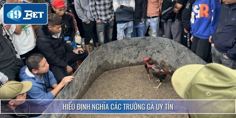 Top 4 Các Trường Gà Uy Tín Nhất Hiện Nay Được i9bet Gợi Ý 2 Hiểu định nghĩa các trường gà uy tín