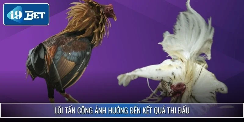 Cách Xem Tướng Gà Chiến Chuẩn Xác Nhất Năm 2025 Tại i9bet 4 Lối tấn công ảnh hưởng đến kết quả thi đấu