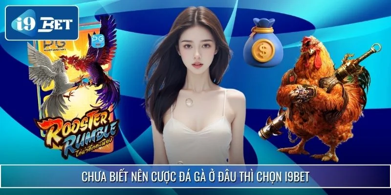 Cược Đá Gà Ở Đâu Uy Tín? Xem Ngay Chia Sẻ Từ i9bet 3 Chưa biết nên cược đá gà ở đâu thì chọn i9bet