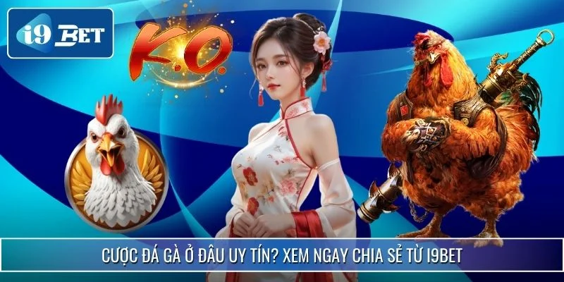 Cược Đá Gà Ở Đâu Uy Tín? Xem Ngay Chia Sẻ Từ i9bet