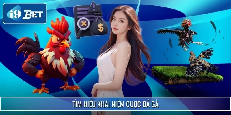 Cược Đá Gà Ở Đâu Uy Tín? Xem Ngay Chia Sẻ Từ i9bet 2 Tìm hiểu khái niệm cược đá gà