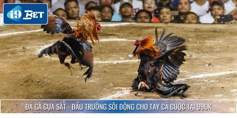 Đá Gà Cựa Sắt - Đấu Trường Sôi Động Cho Tay Cá Cược Tại 99OK