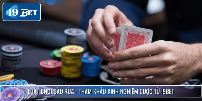 Luật Chơi Cào Rùa - Tham Khảo Kinh Nghiệm Cược Từ I9bet