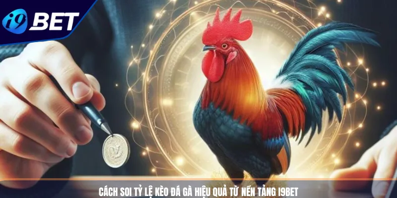 Cách Soi Tỷ Lệ Kèo Đá Gà Hiệu Quả Từ Nền Tảng I9BET
