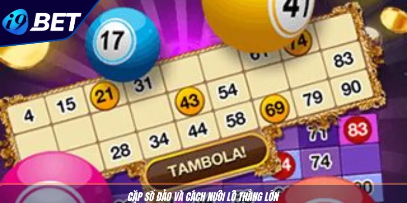 Mẹo Nuôi Lô 3 Ngày Hiệu Quả Nhất Từ I9BET Cho Người Mới 4 Cặp số đảo và cách nuôi lô thắng lớn