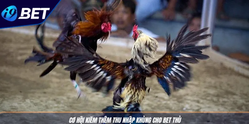 Đá Gà Cựa Sắt Ăn Tiền I9BET - Địa Chỉ Cá Cược Thăng Hoa 3 Cơ hội kiếm thêm thu nhập khủng cho bet thủ