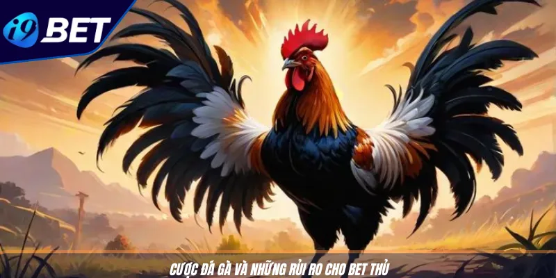 Cách Soi Tỷ Lệ Kèo Đá Gà Hiệu Quả Từ Nền Tảng I9BET 3 Cược đá gà và những rủi ro cho bet thủ