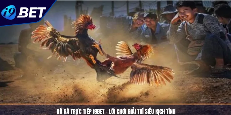 Đá Gà Trực Tiếp I9BET – Lối Chơi Giải Trí Siêu Kịch Tính