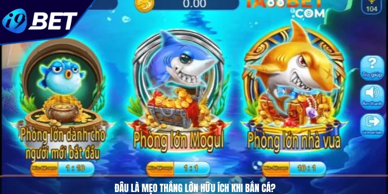 Bắn Cá Siêu Thị Online: Cơ Hội Săn Thưởng Khủng Tại I9BET 5 Đâu là mẹo thắng lớn hữu ích khi bắn cá?