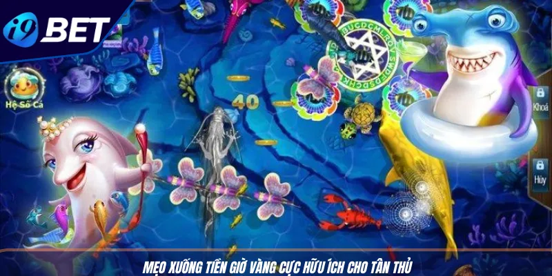 Chơi Bắn Cá Trên Điện Thoại – Game May Rủi Tại I9BET 4 Mẹo xuống tiền giờ vàng cực hữu ích cho tân thủ