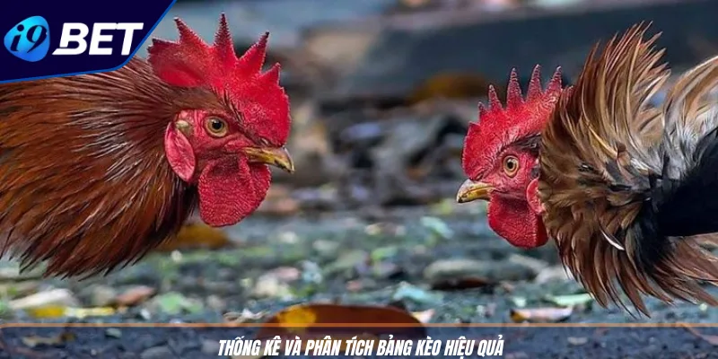 Đá Gà Trực Tiếp I9BET – Lối Chơi Giải Trí Siêu Kịch Tính 4 Thống kê và phân tích bảng kèo hiệu quả