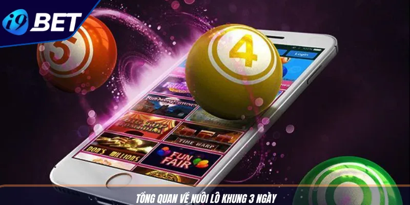 Mẹo Nuôi Lô 3 Ngày Hiệu Quả Nhất Từ I9BET Cho Người Mới 2 Tổng quan về nuôi lô khung 3 ngày